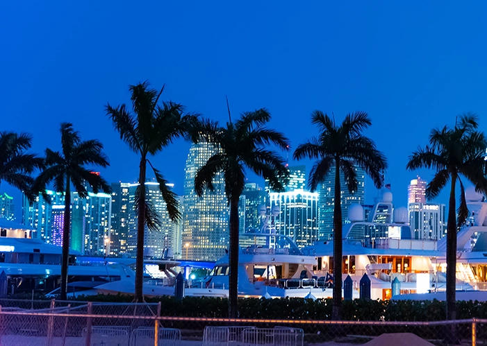 Palm City Thumbnail